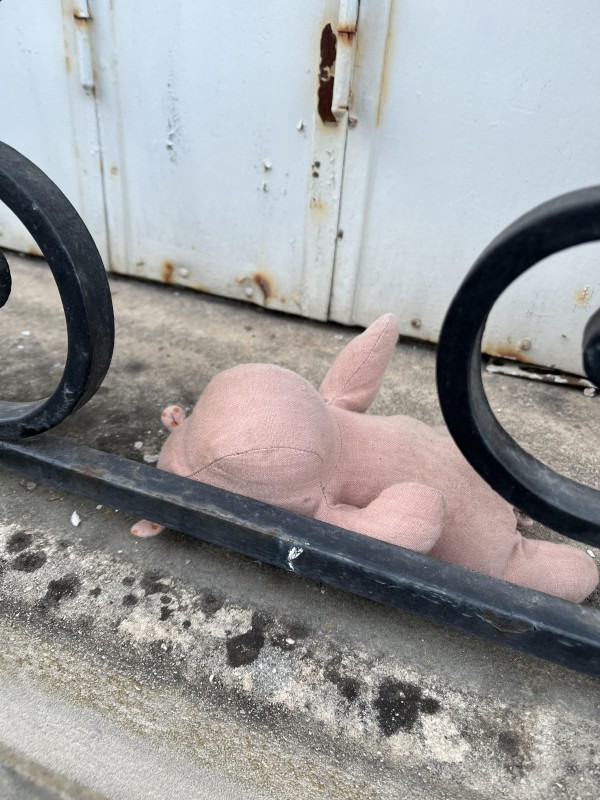Doudou trouvé