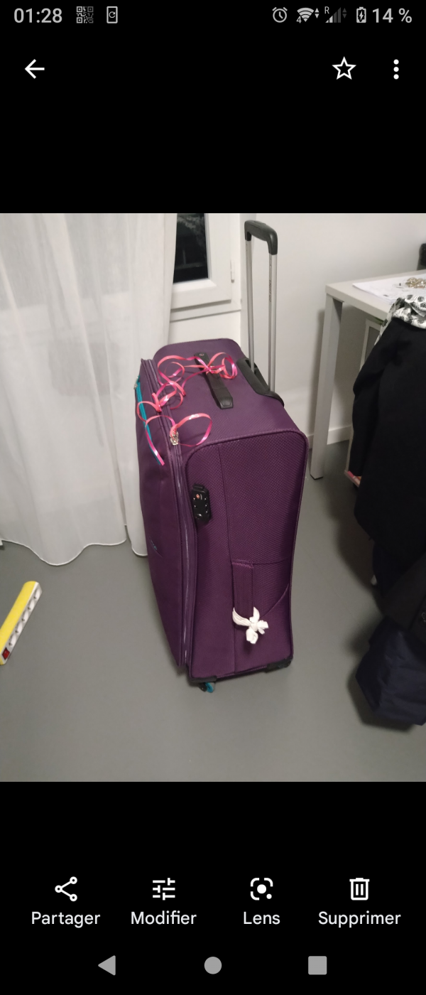 Valise violette volée à gare de Toulouse-Matabiau, OUIGO 7672 en direction de Paris Montparnasse