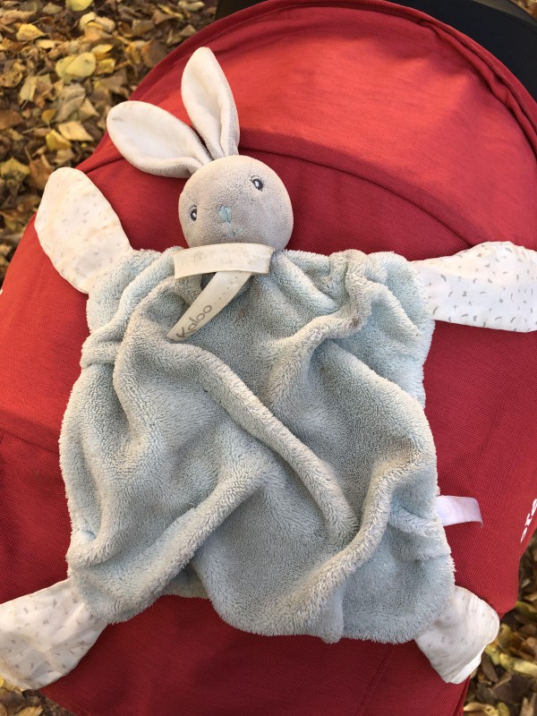 Doudou trouvé proximité parc Clémenceau à Dijon