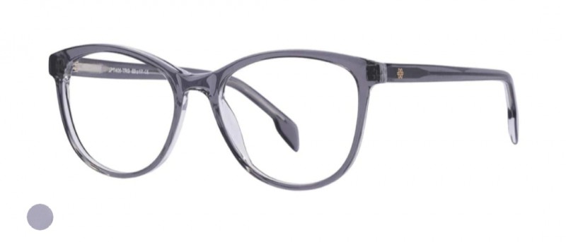 Perdu lunettes de vue dans leur étui bleu à Dijon, vers centre ville