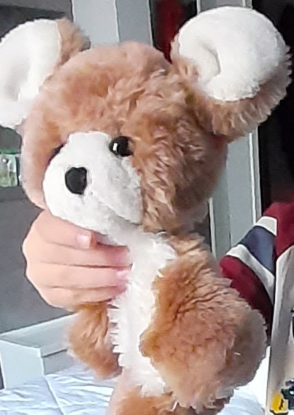 perdu doudou ourson Fontenay sous bois