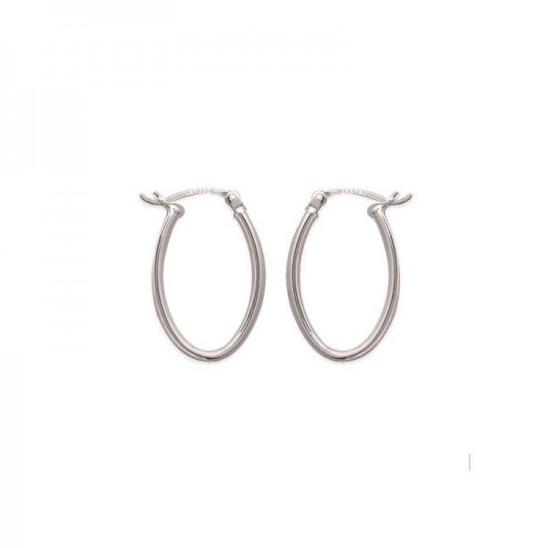 1 Boucle d'oreille