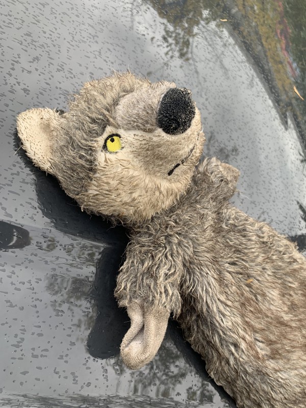 Peluche retrouvé cabesto mandelieu cannes