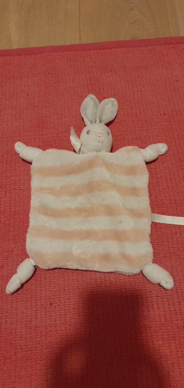 Ma petite puce a perdu son doudou vendredi en fin d'après-midi à Saint-Germain-en-Laye. C'est un lapin rayé rose et blanc, assez plat