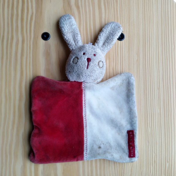 Trouvé Doudou Lapin à Saint-Grégoire, sur le canal entre Betton et Rennes