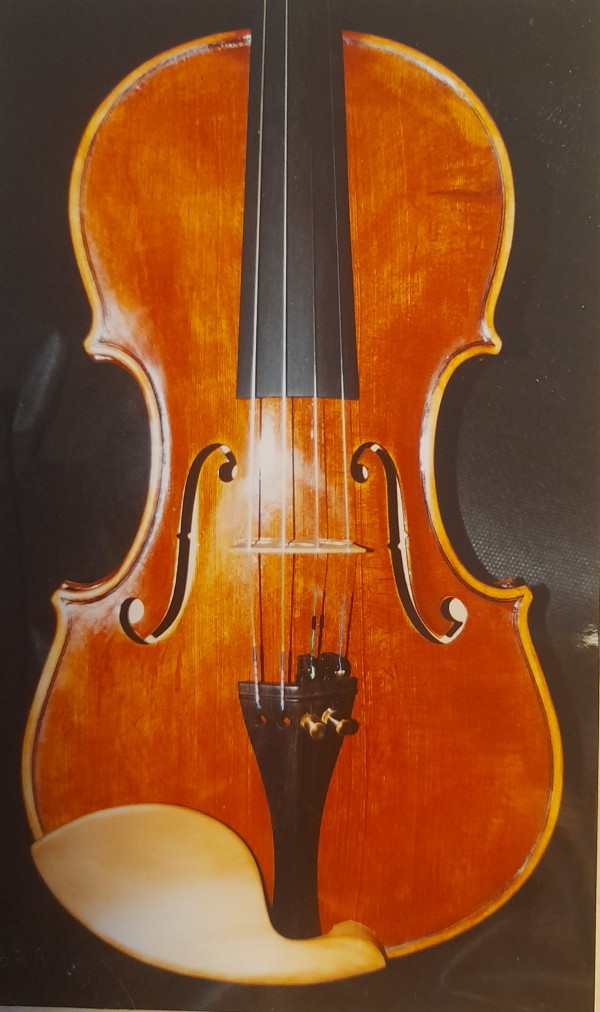 Violon