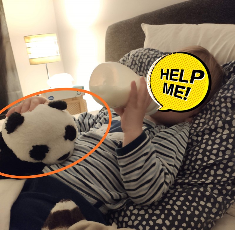 Perdu peluche panda à Saint-Malo, intramuros - cale de la bourse