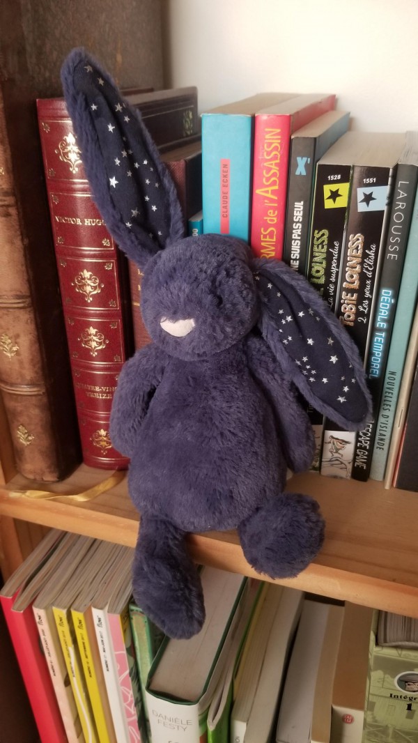 Lapin bleu trouvé à Lyon