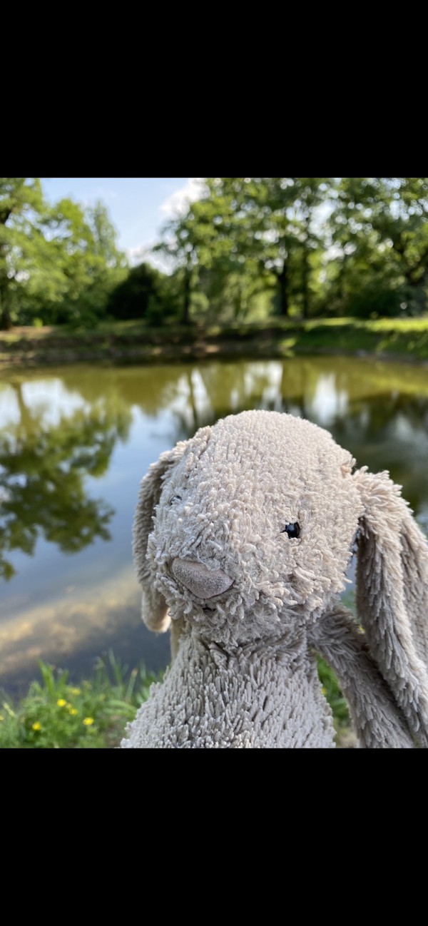 Doudou lapin marron 11/12/21 porte du parc tête d’or 69006 entre 19:00 et 19:30, en attendant l’ouverture des portes pour les lumières