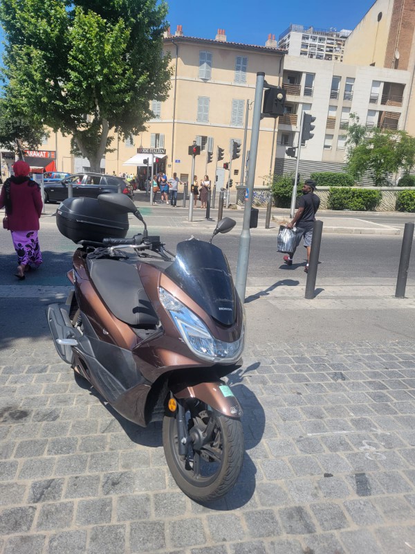 pcx marron volé