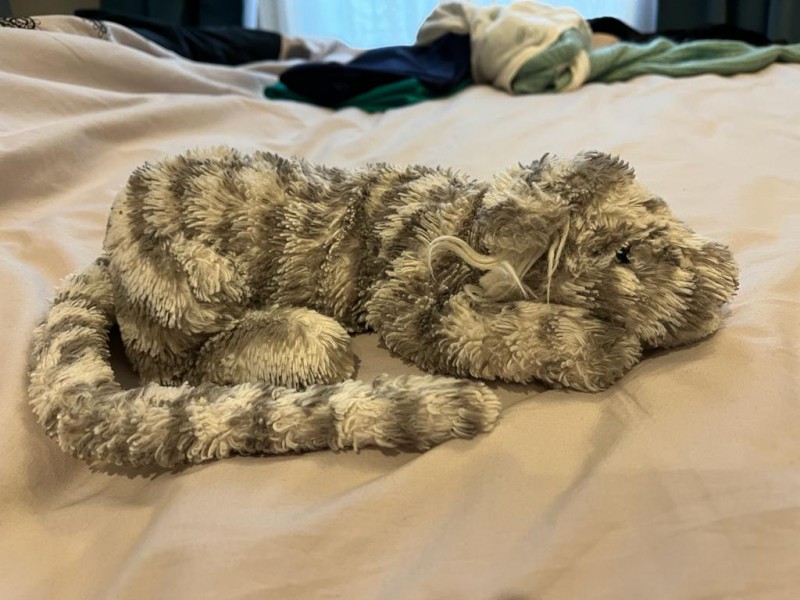 Doudou Tigre blanc et gris perdu