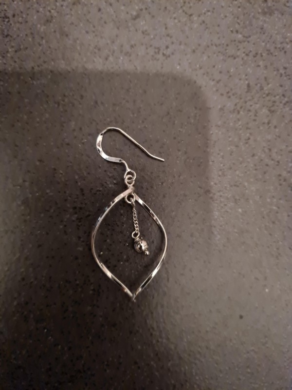 Perdu boucle d'oreille, secteur Lyon 6 (salle Amphithéâtre 3000 / parc Tête d'Or)