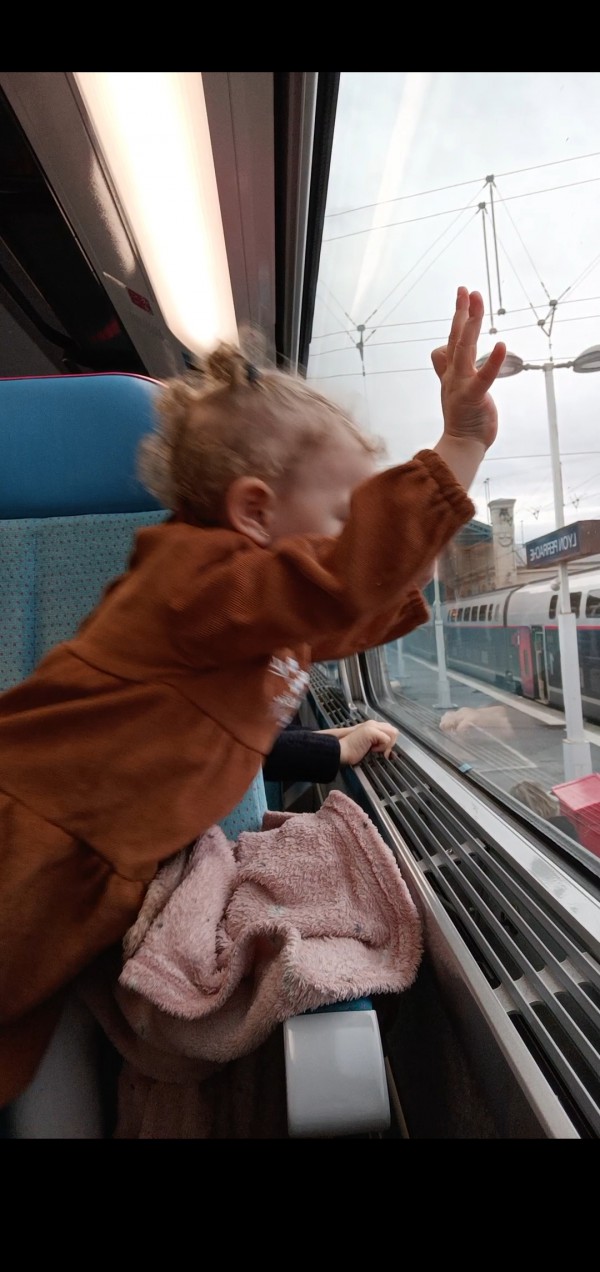 Doudou perdu a la gare de Lyon Paris