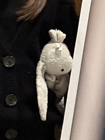 Doudou lapin perdu au musée des armées