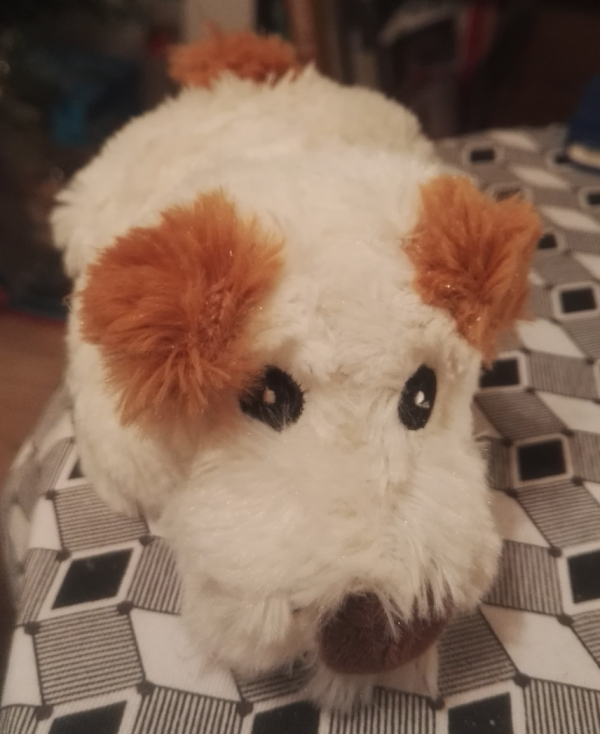 Doudou chien