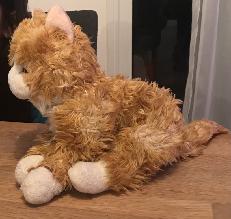 Sac à dos avec gourde verte et doudou chat