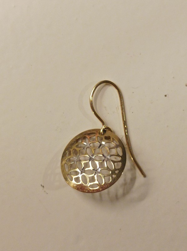 Perdu une boucle d'oreille à Vannes