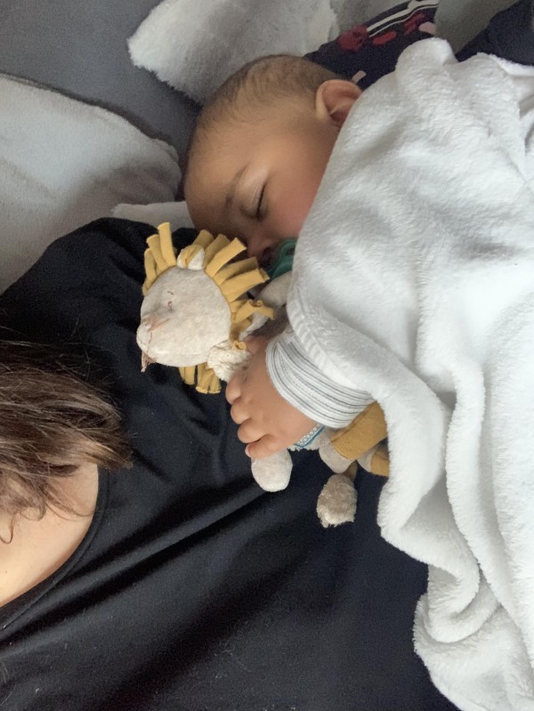 Perdu doudou lion