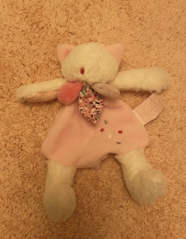 Doudou perdu etrembieres