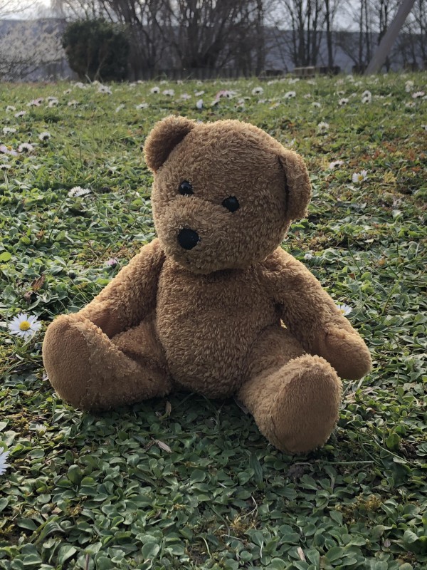 Nounours trouvé à Decathlon