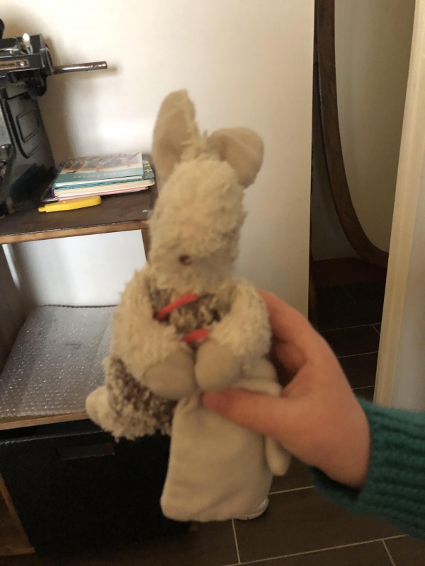 Perdu doudou lapin