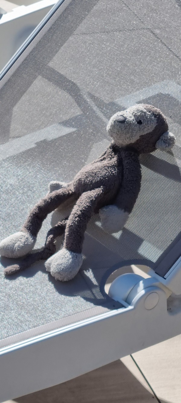 Perdu doudou singe Jellycat à Cahors