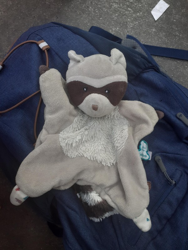 Doudou trouvé lors d'une manifestation