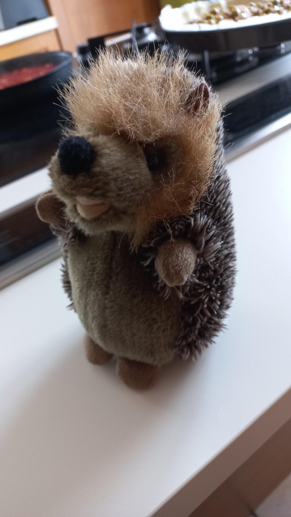 Doudou hérisson dans la ligne R