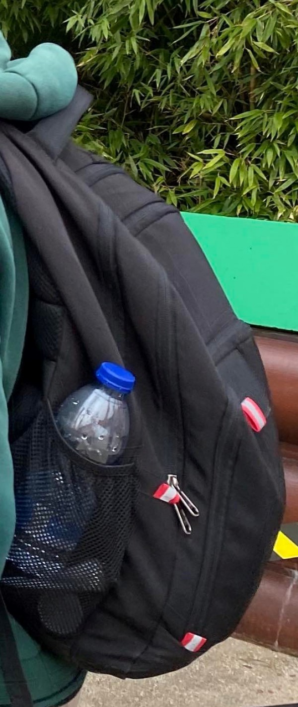 Perdu sac à dos noir avec porte clef lézard vert (Poitiers, Centre-Ville)