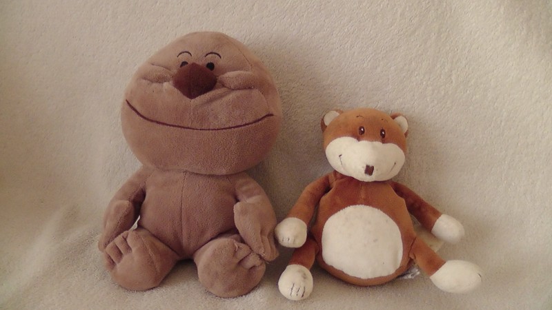 Peluches trouvés à Mazé