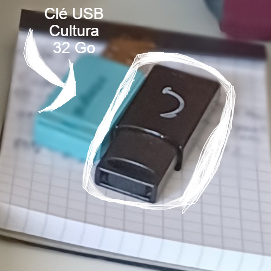 Perdu Clé Usb Cultura 32 Go sur Toulouse
