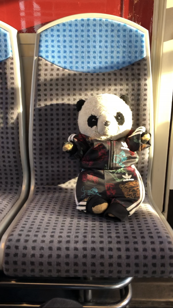 Panda en peluche teuf