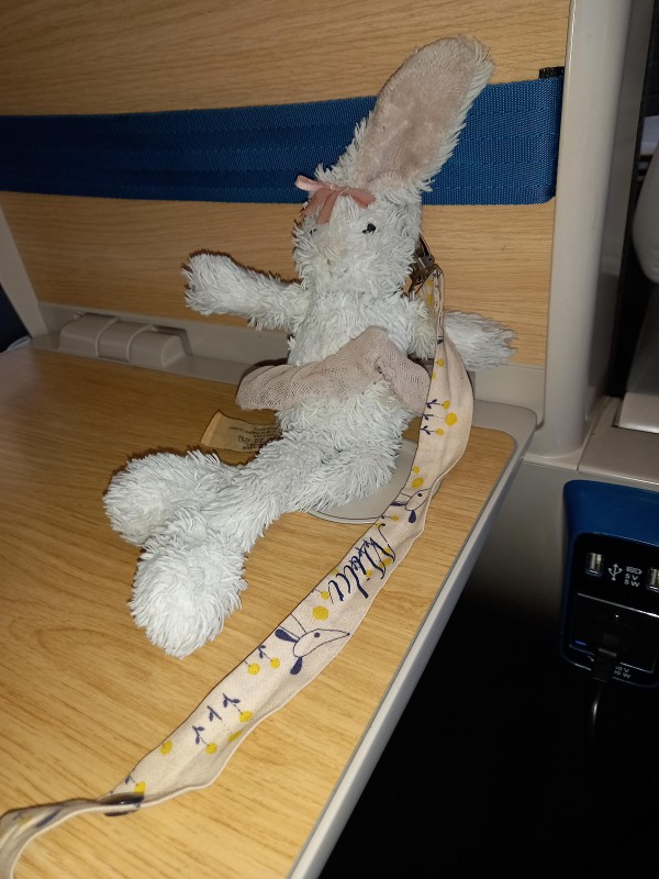 Doudou Lapin devant gare montparnasse