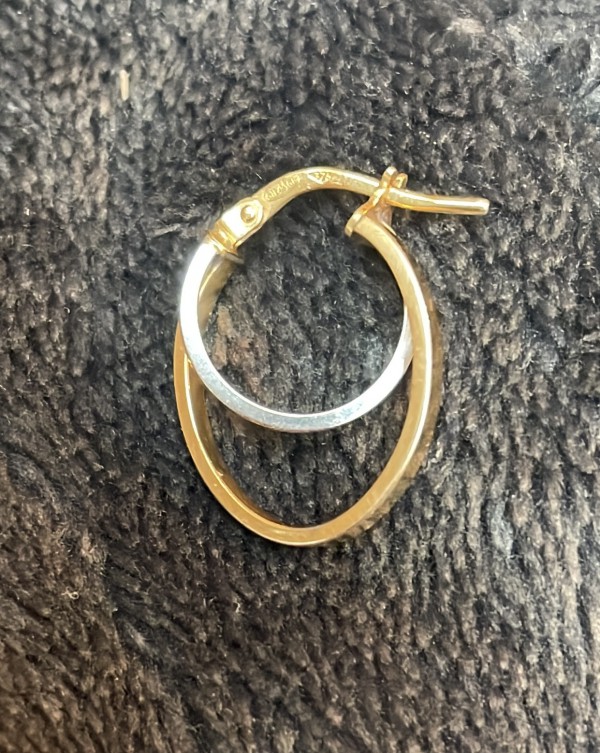 Une boucle d’oreilles créole bicolore trouvée dans le RER A