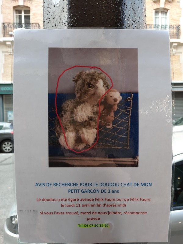 Doudou chat