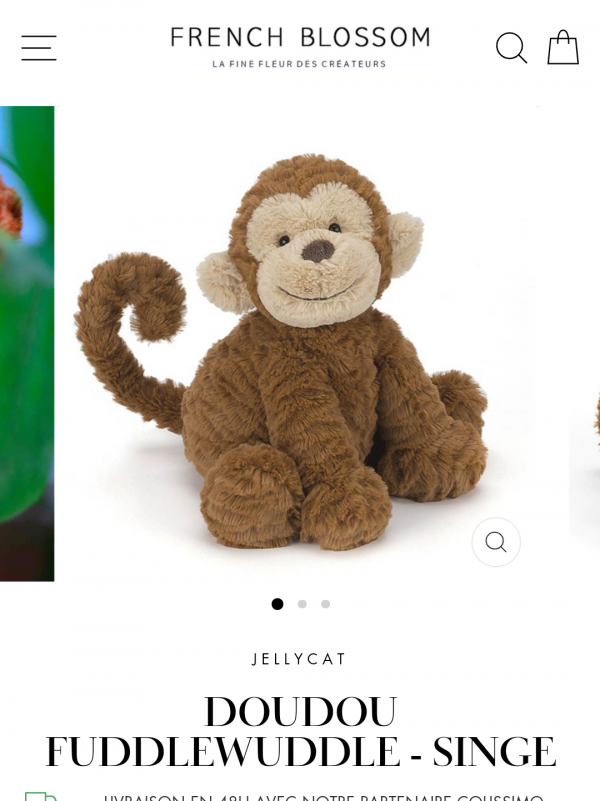 Doudou singe perdu a Nancy