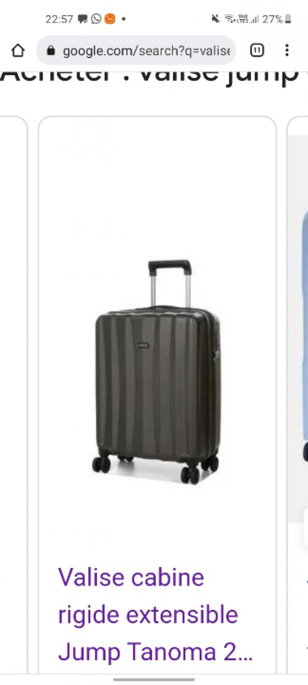 Valise grise le tanneur air France