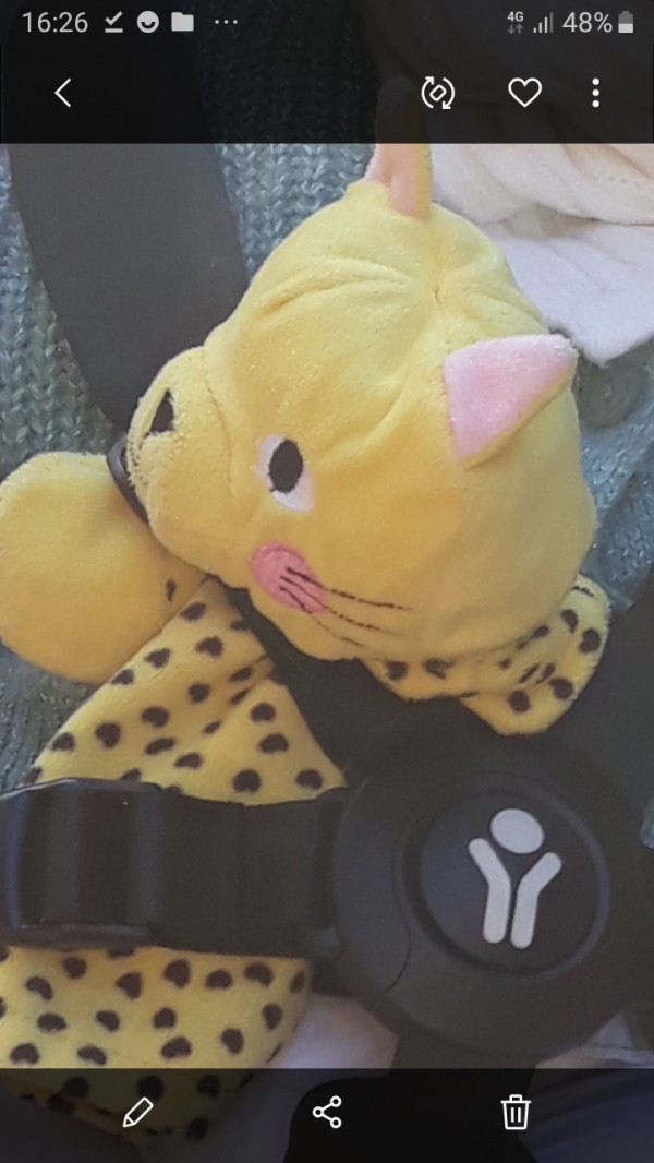 Doudou petit tigre jaune jardins des plantes de Nantes