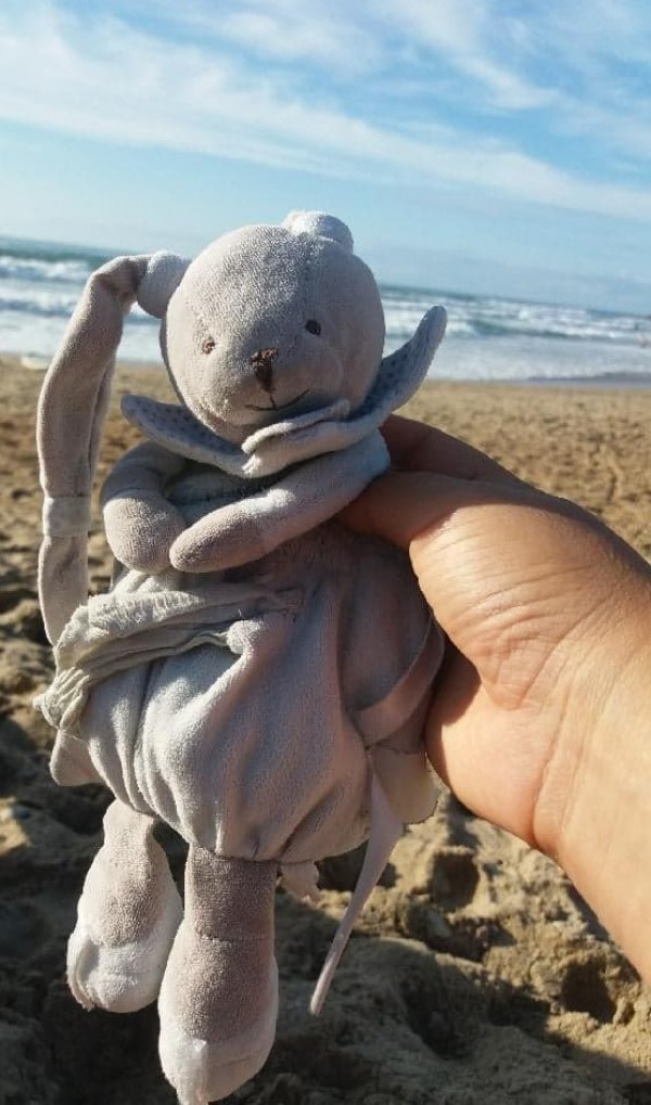 Recherche doudou lapin volé