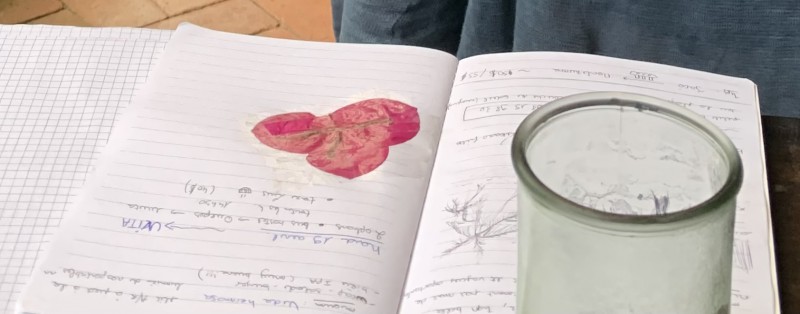 Carnet de voyage oublié dans train INOUI paris toulouse