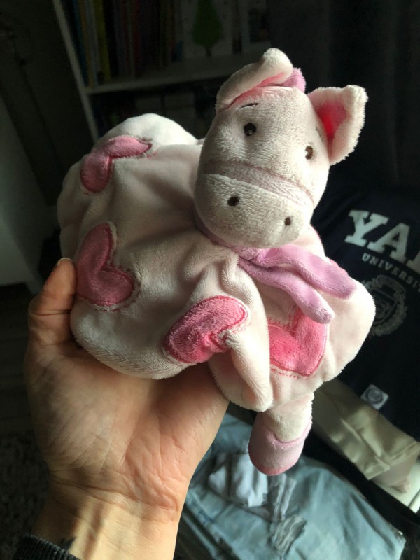 Perdu doudou troyes centre