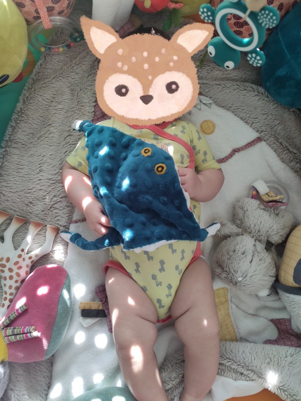 Doudou raie bleue