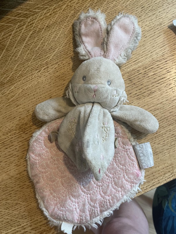 Lapin plat rose et blanc