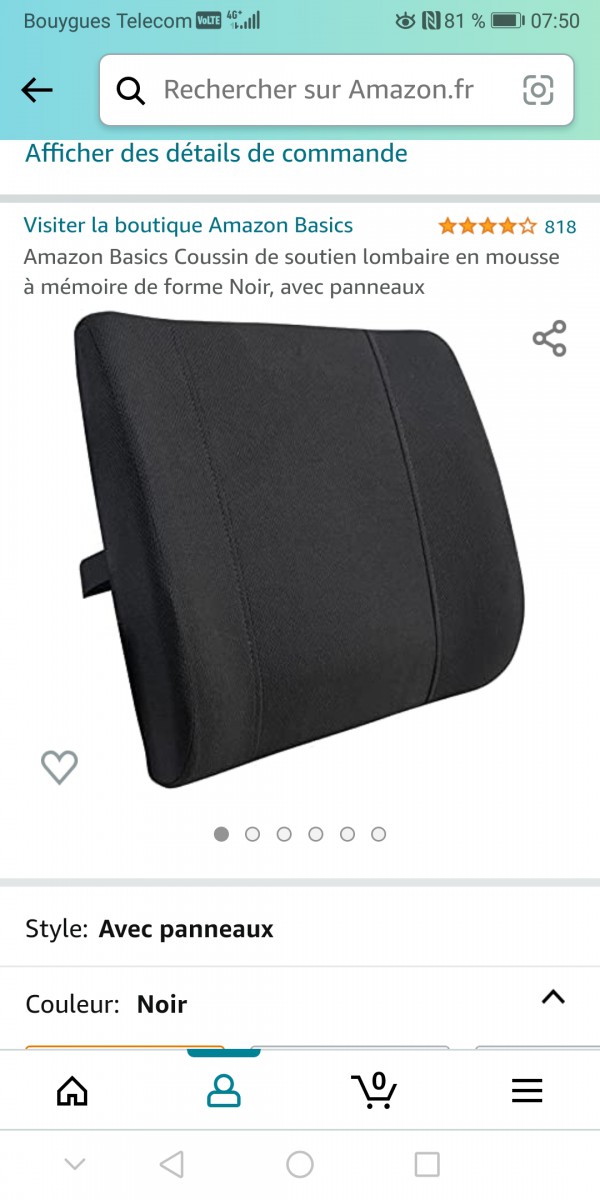 Coussin cale dos
