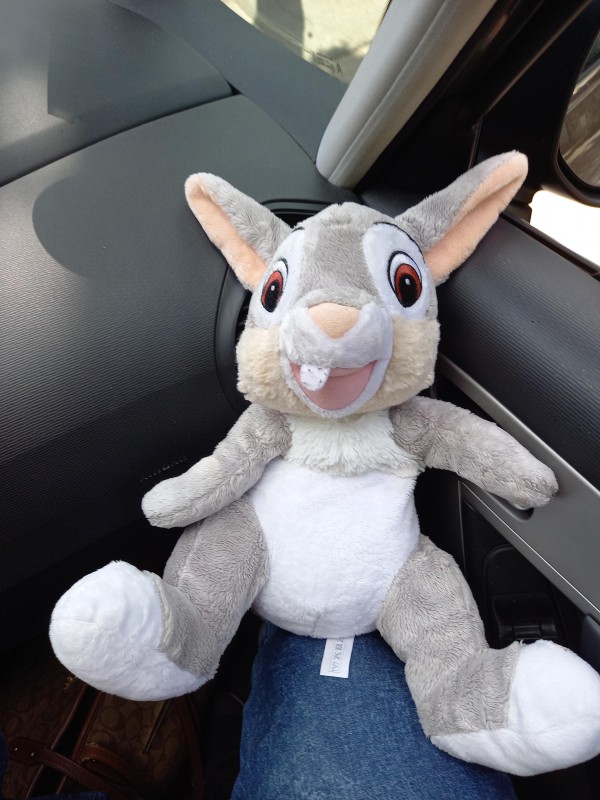 Lapin Disney trouvé à Montmorency