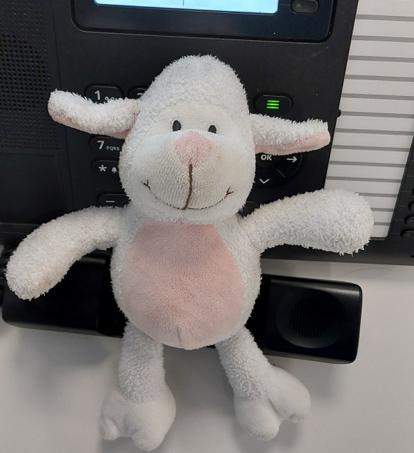 Doudou mouton trouvé à Neuilly, av. Charles de Gaulle
