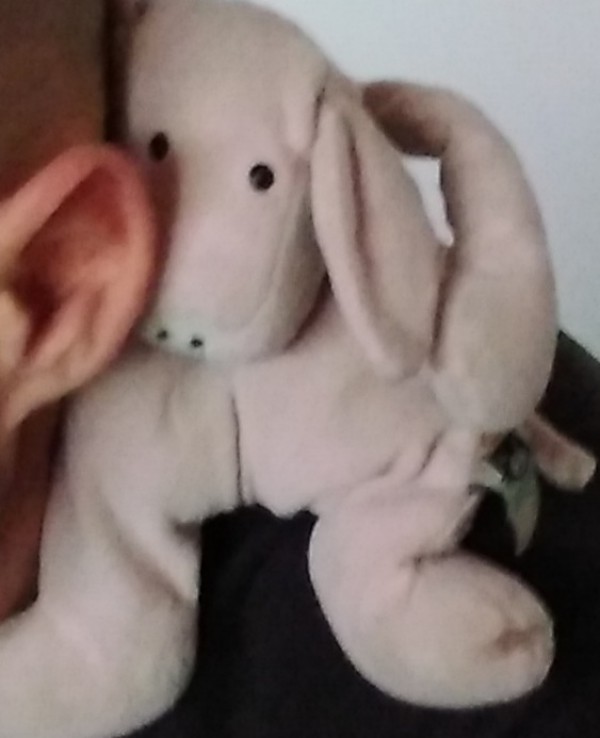 Perdu doudou p'tit cochon rose