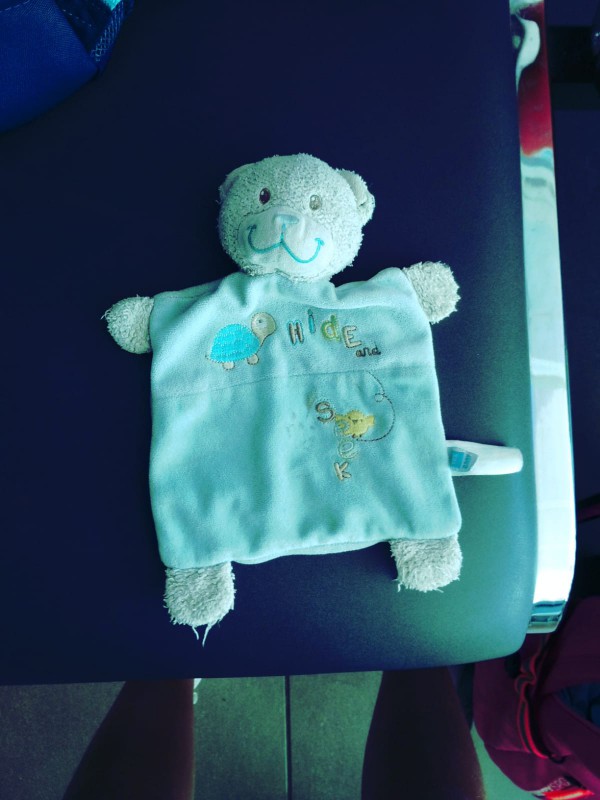 Perdu doudou bleu ours plat tex baby