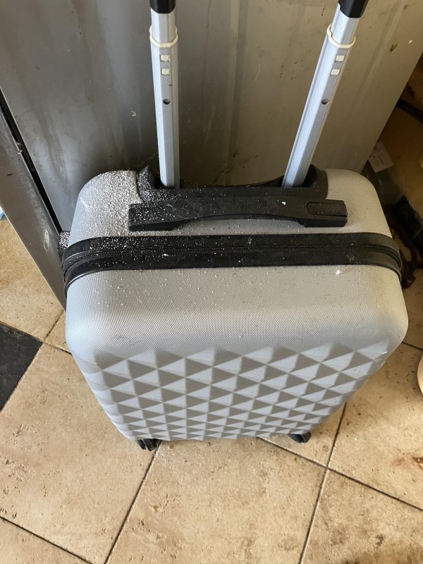 Bagage de cabine