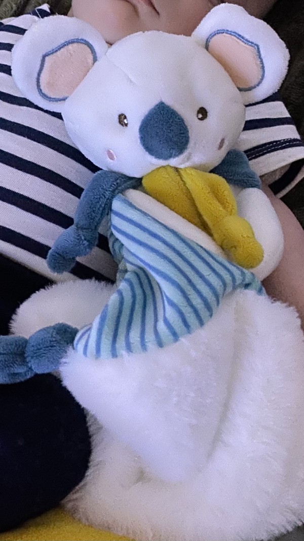 Doudou perdu a cabourg le samedi 18 juin